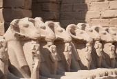 Sfinxer i Karnak templet ved Luxor. De har løvekrop og en vædders hoved.