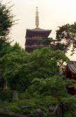 Pagoden ved Asakusa Kannon templet i Tokyo