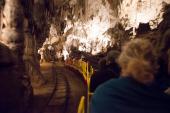 Man kører med et lille tog et par kilometer ind i Postojna grotterne