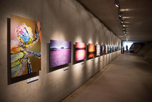 I 2016 havde National Geographics en foto udstilling på Ljubljana slottet